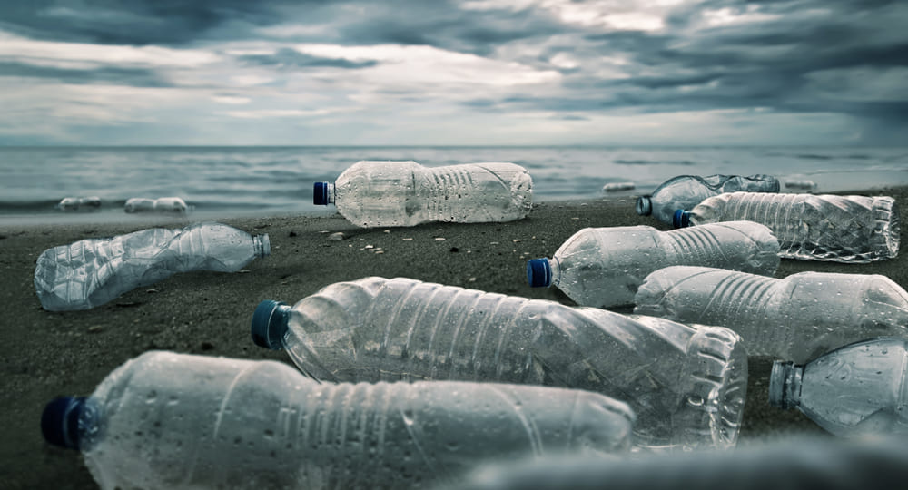 Single use plastic water bottles litter a beach and pollute the ocean