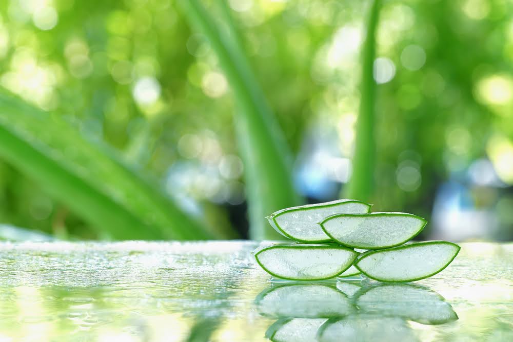 Close-up of aloe vera slices, representing one of the best natural ingredients for sensitive skin.