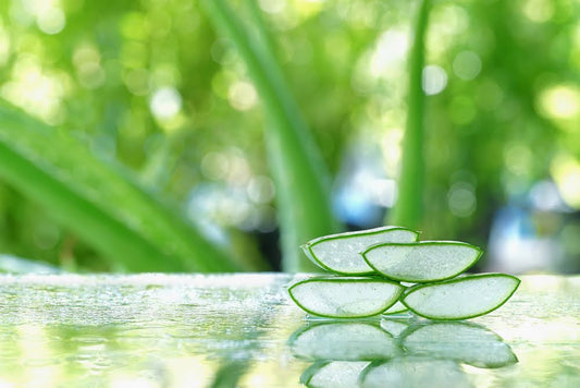 Close-up of aloe vera slices, representing one of the best natural ingredients for sensitive skin.