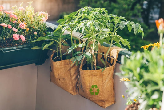 Upcycling vs. recycling: Plants growing in reusable bags.