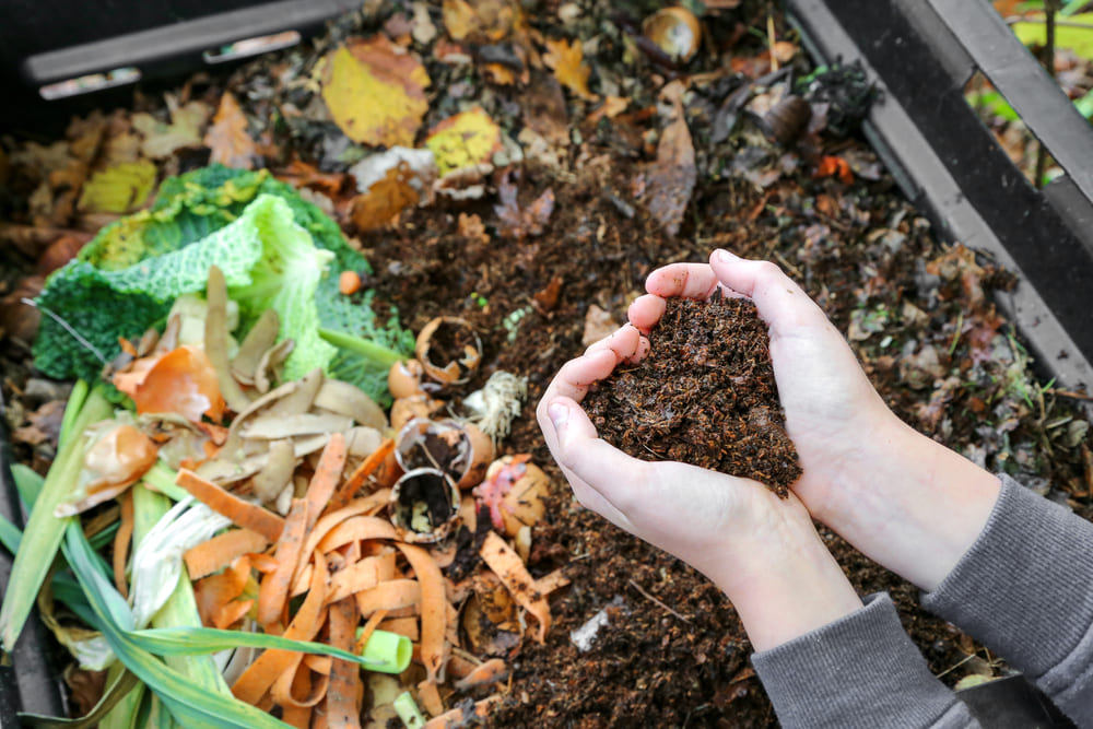 Hands holding compost above a composting bin