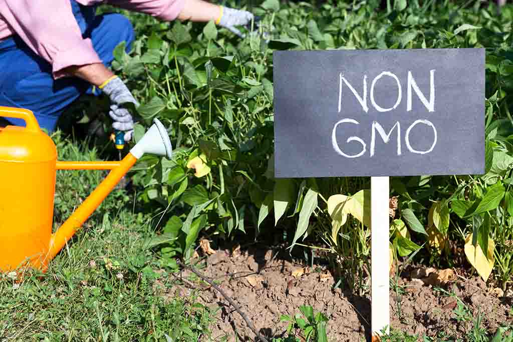 A sign at a farm says Non-GMO