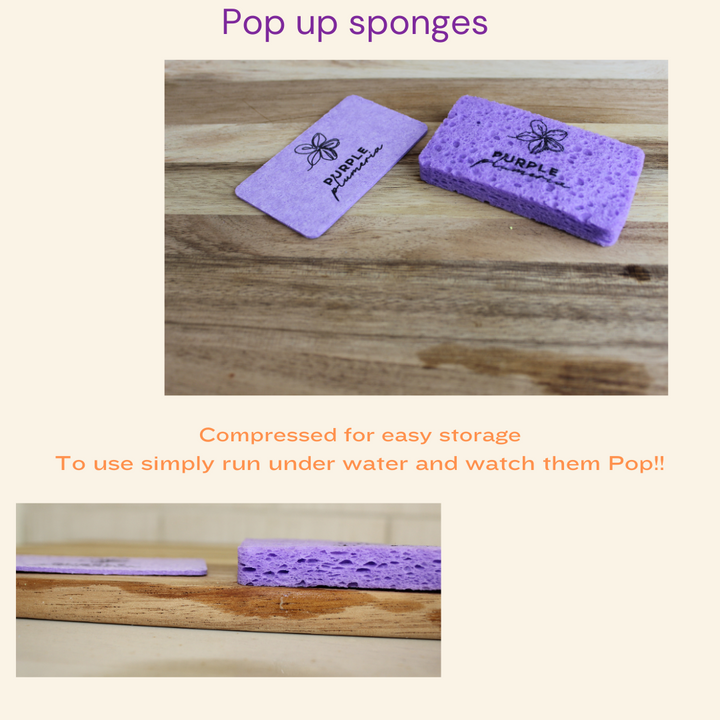 Purple compostable kitchen sponges